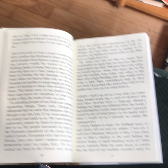 “The marriage of opposites“ A novel by Alice Hoffman - Picture 14 of 16